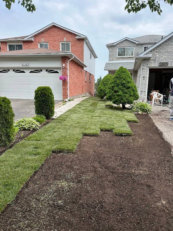 Farmer Landscaping, photograph 3 of Scarborough Town Centre