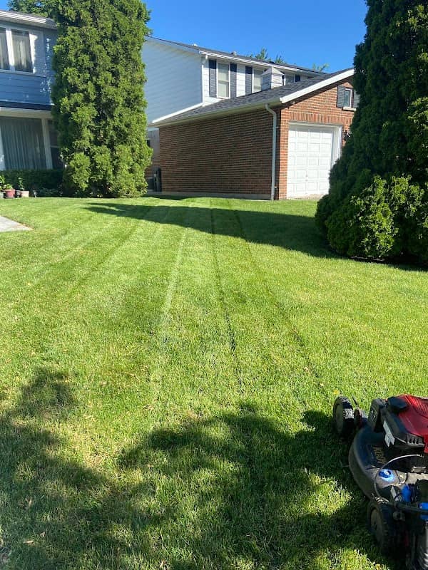 landscaping by Forestis Landscaping in The Kingsway