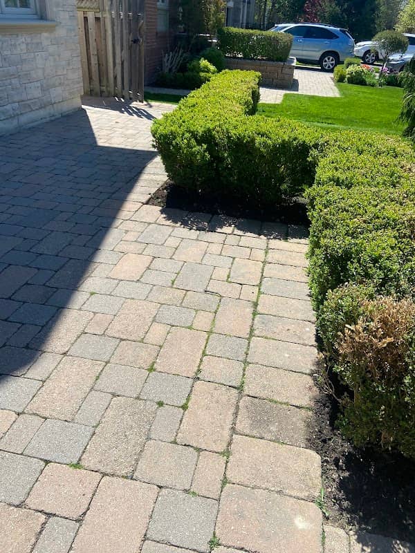 Forestis Landscaping, photograph 2 of The Kingsway