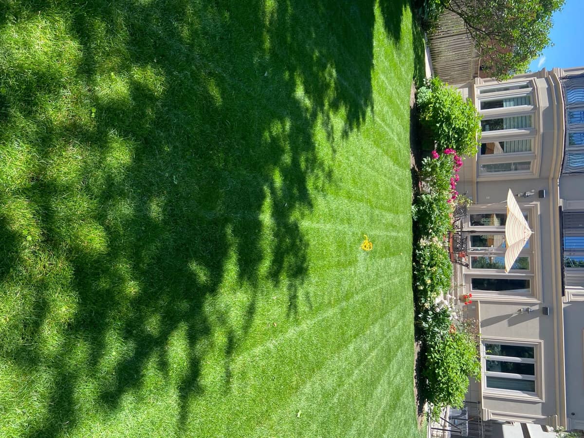 Forestis Landscaping, photograph 4 of The Kingsway