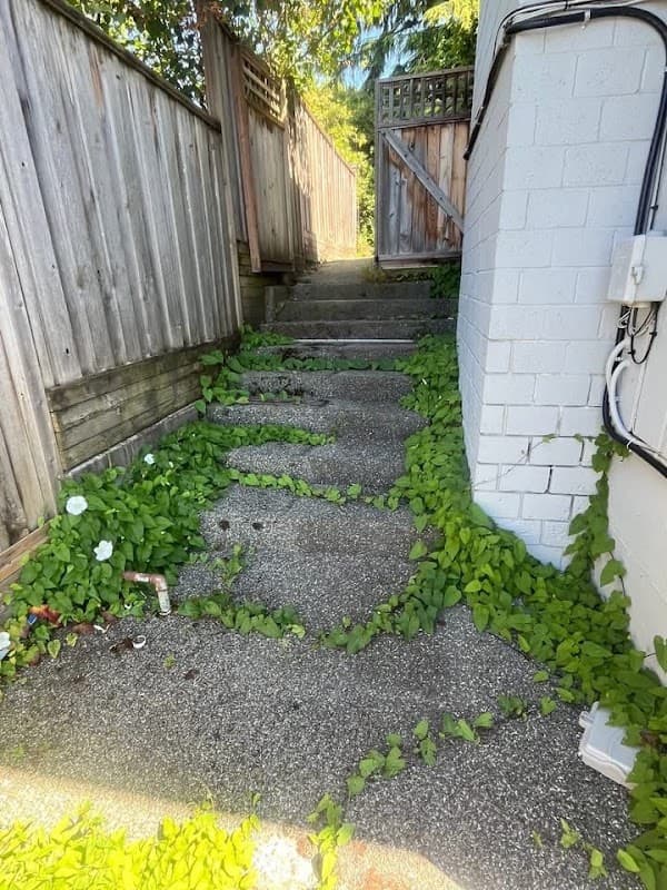 landscaping by Fresh & Clean Yards in Fairview