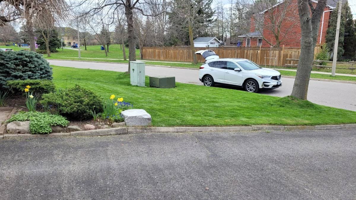 landscaping by FreshMow Lawn Care in Islington-City Centre West