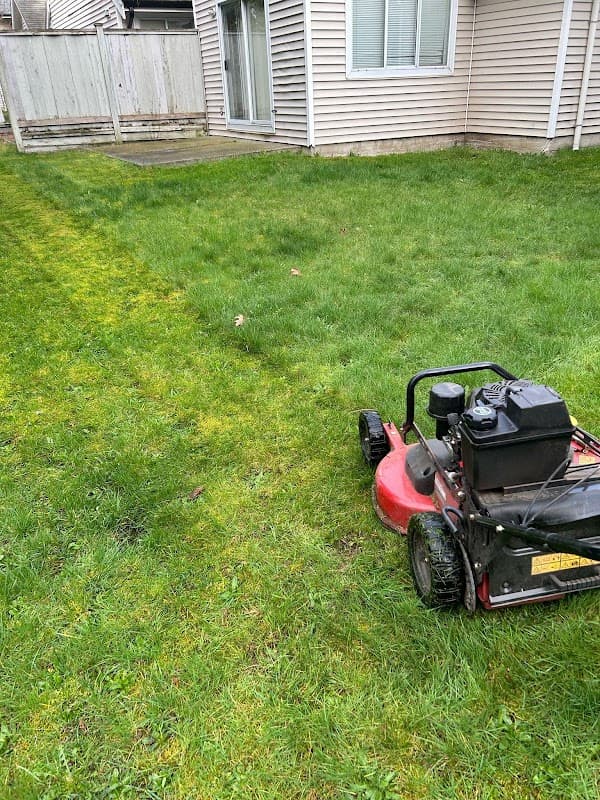 lawn care by Freshway Gardening and Landscaping in Cloverdale