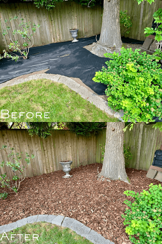 Freshway Gardening and Landscaping, photograph 2 of Cloverdale