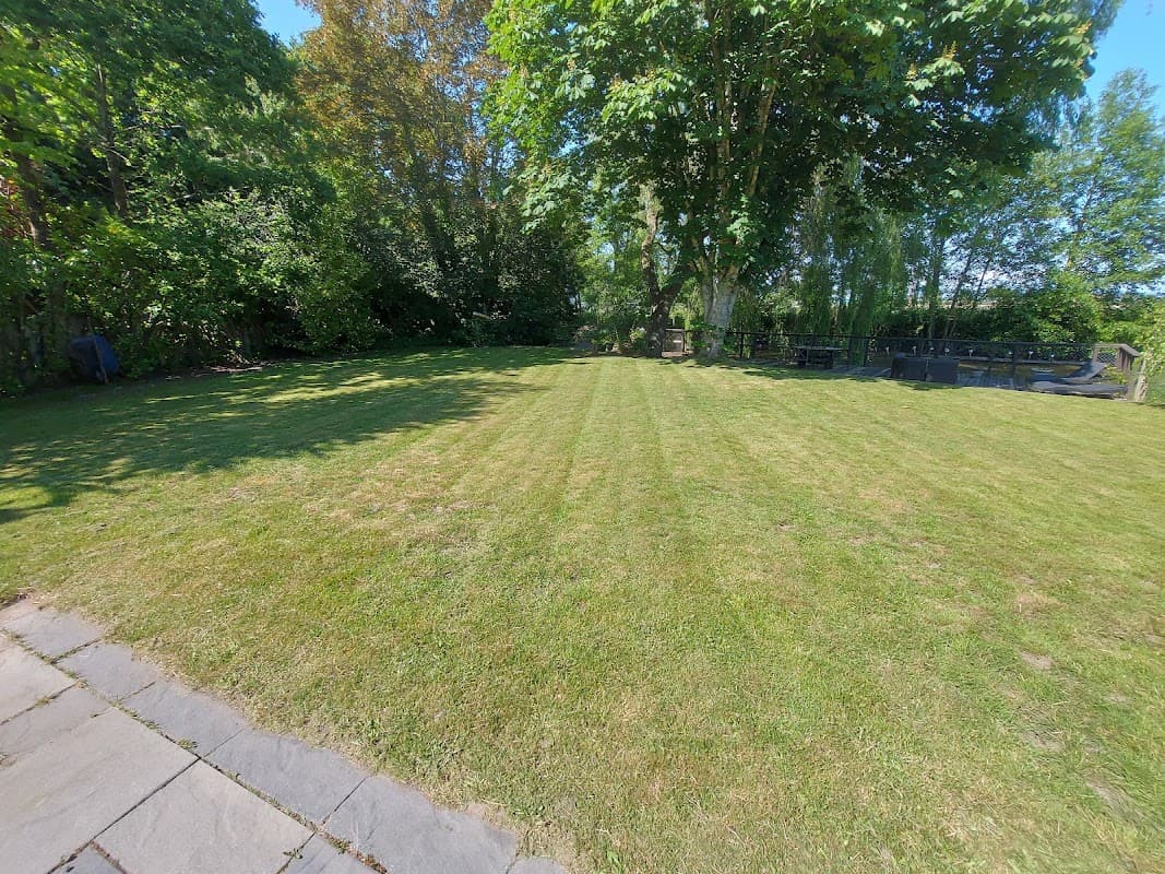 lawn care by Full Spin Mowing in Tsawwassen