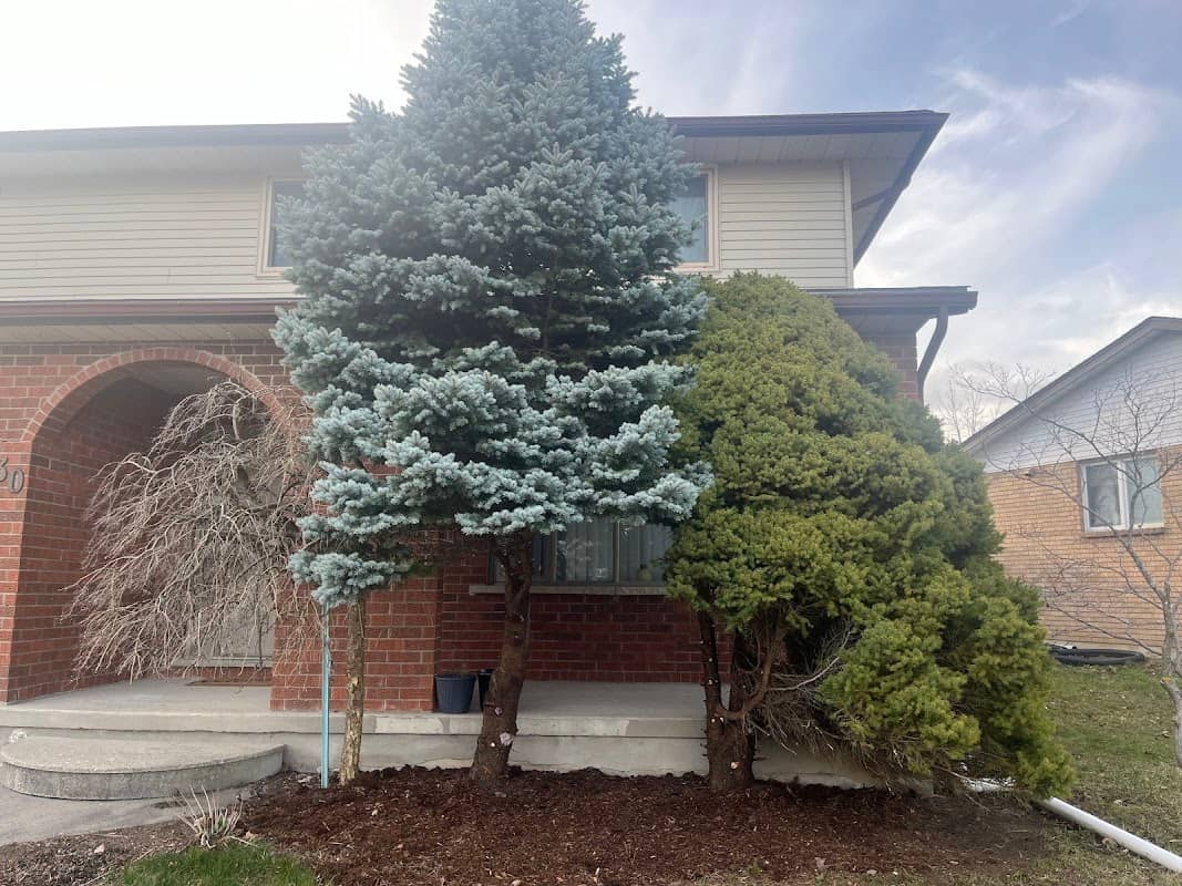 lawn care by Garden Shine in Willowdale