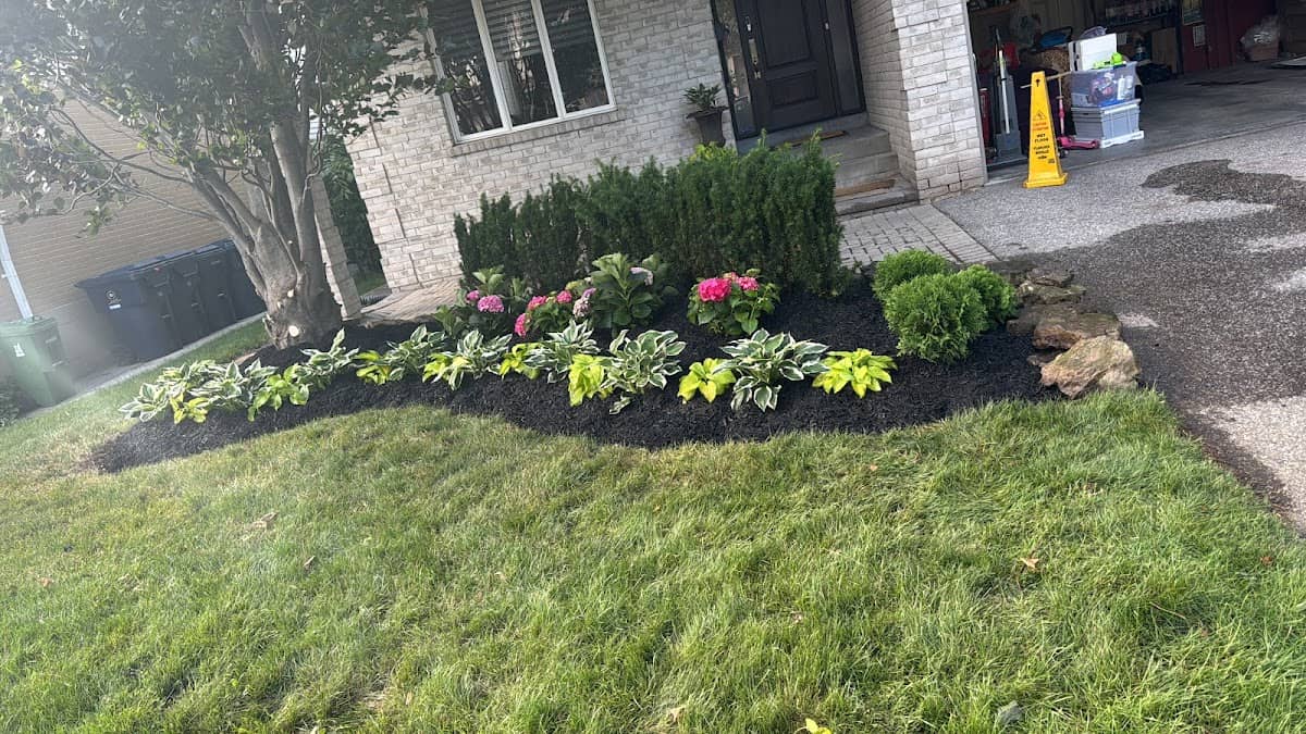 Garden Shine, photograph 2 of Willowdale