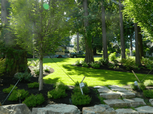 Gardeners For Hire, photograph 4 of South Surrey