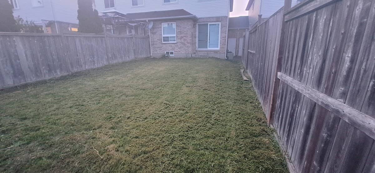Gego Mow and Snow, photograph 2 of Ajax