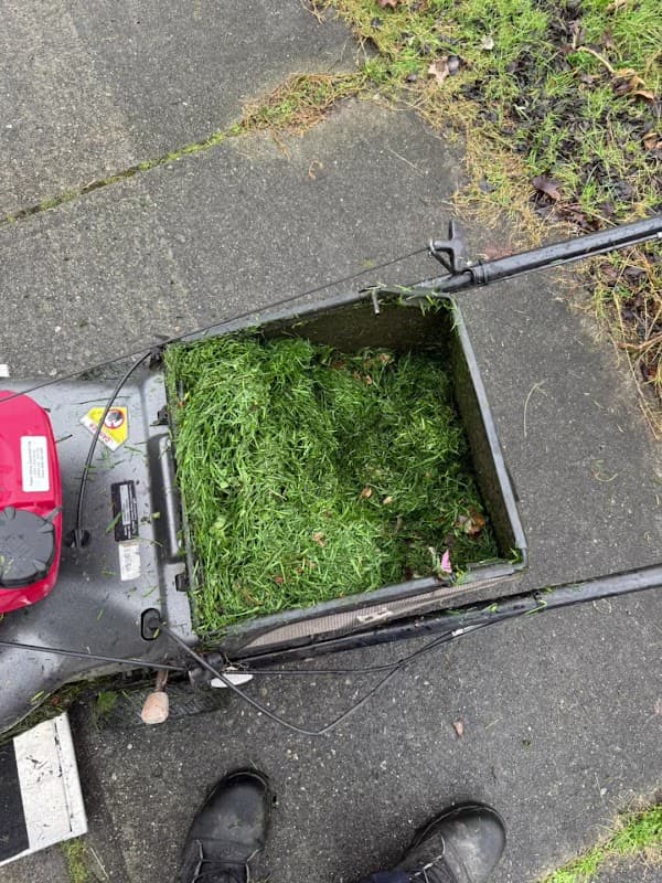 Go Green Mowing, photograph 3 of South Surrey