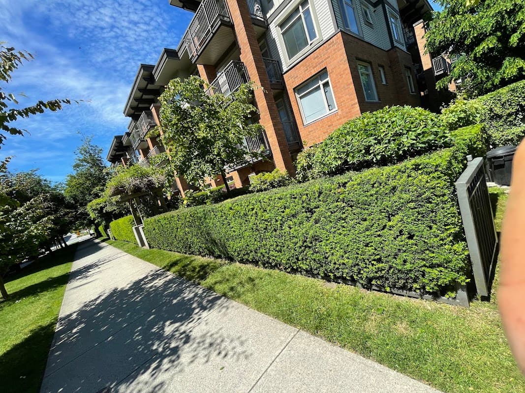 landscaping by Golden Rake Landscaping Projects Inc. in Riley Park