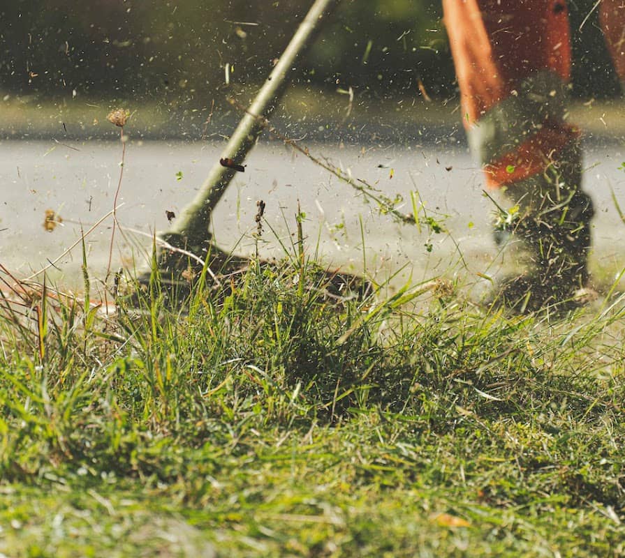 lawn care by Grass Cutting Services Toronto in Willowdale