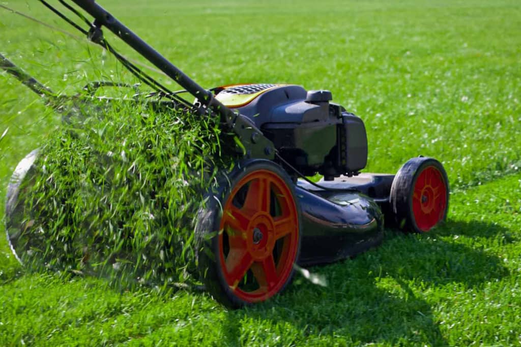 Grass Cutting Services Toronto, photograph 2 of Willowdale