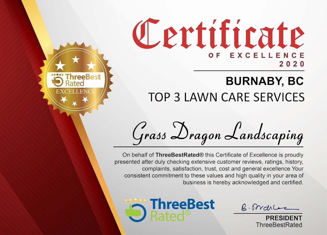 lawn care by Grass Dragon Enterprises Ltd. - Burnaby in New Westminster