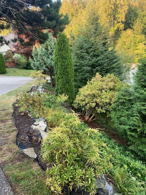 landscaping by Grass, Gardens and Grounds Upkeep and Beautification in Maple Ridge