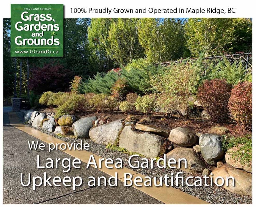 Grass, Gardens and Grounds Upkeep and Beautification, photograph 2 of Maple Ridge