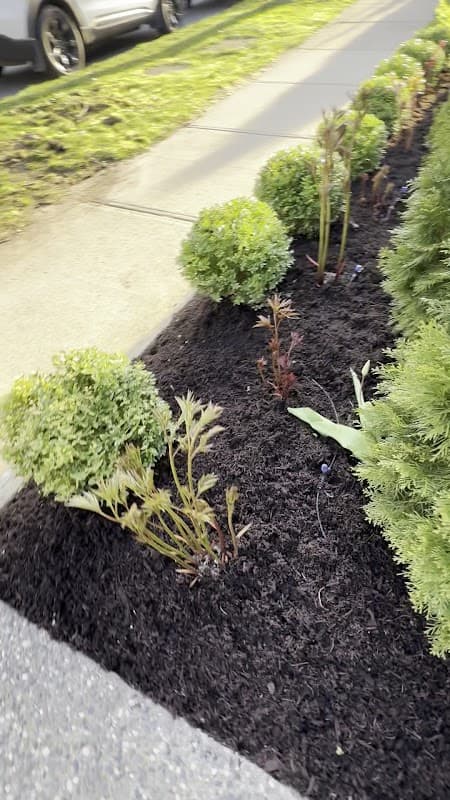 Grass, Gardens and Grounds Upkeep and Beautification, photograph 3 of Maple Ridge