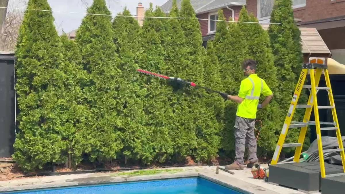 Grass Master Lawn Care, photograph 4 of Brampton