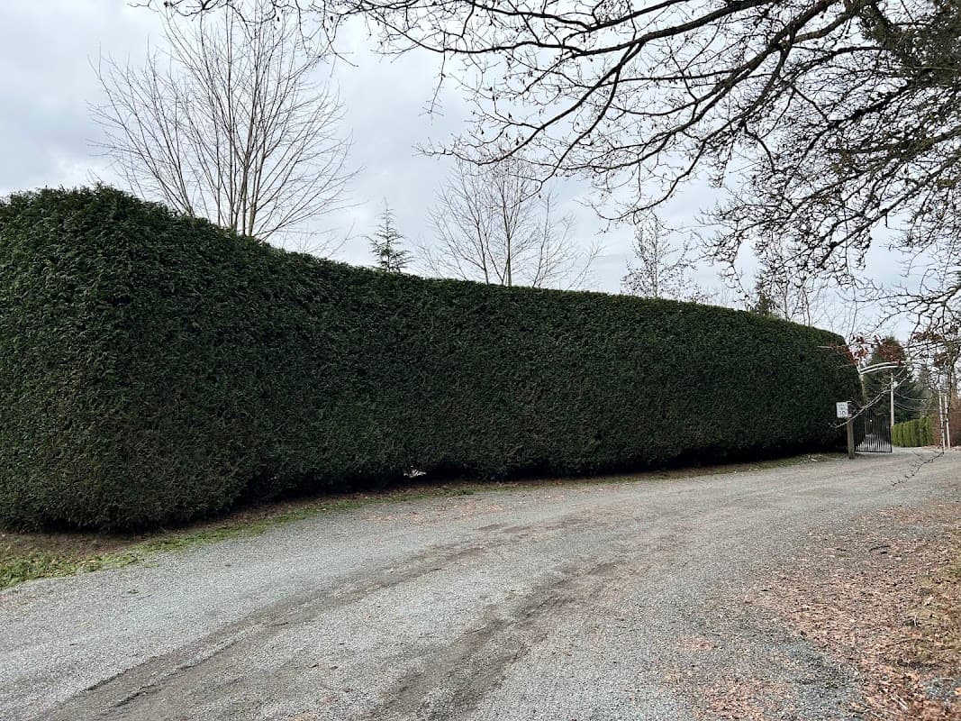 Green Acres Landscaping and Lawn Care, photograph 2 of Maple Ridge