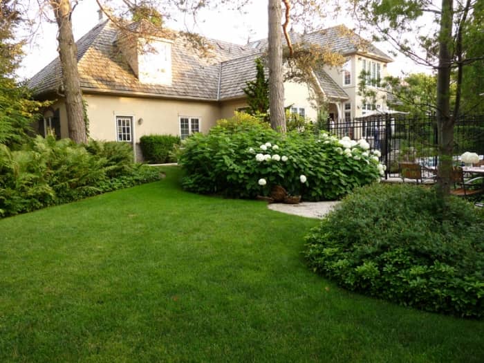 lawn care by Green Blade Lawn Care Services in Oakville