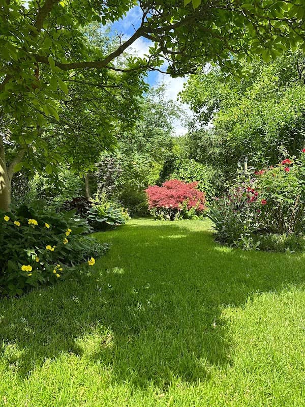 landscaping by Green Edge Services in Willowdale