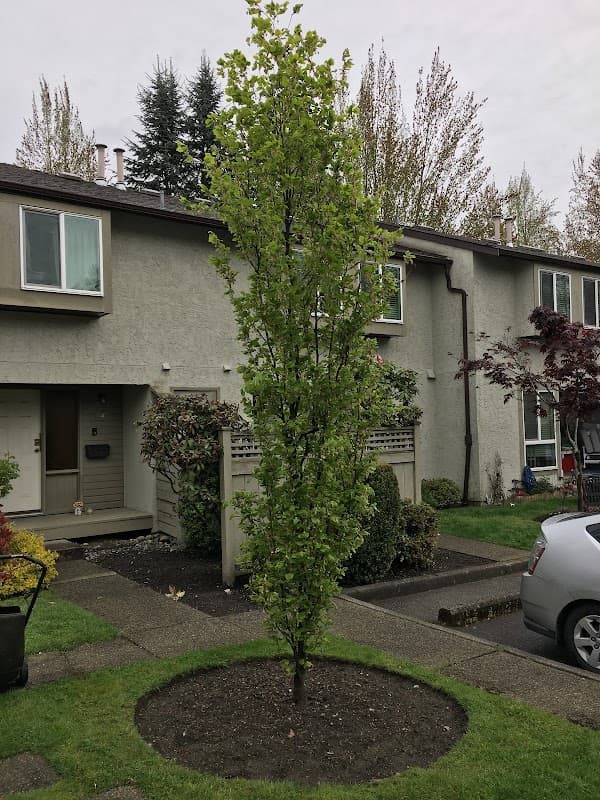 Green First! Landscaping, photograph 4 of Burnaby North