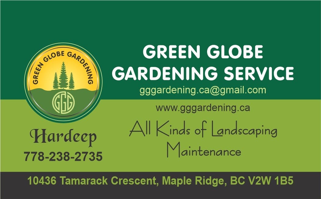 landscaping by Green Globe Gardening Services in Maple Ridge