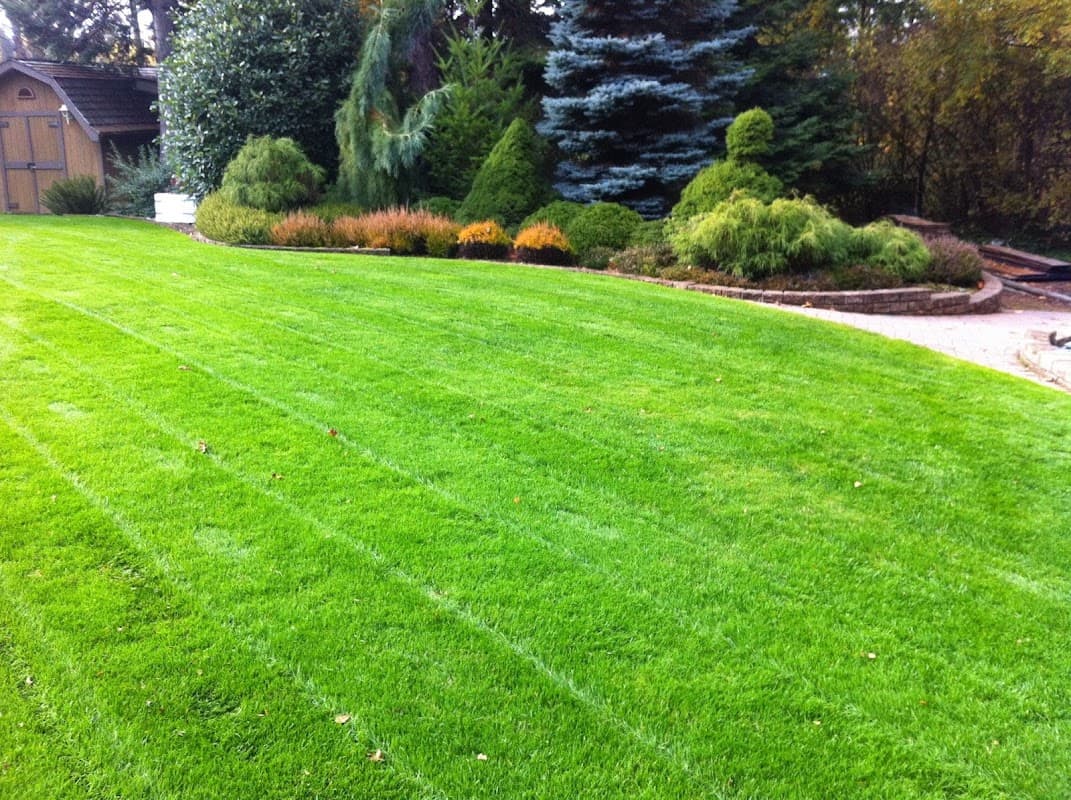 Green Image Lawn and Garden, photograph 3 of Tsawwassen