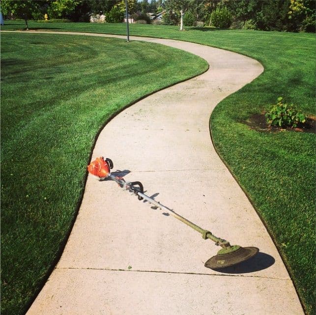 lawn care by Green Jay Landscaping in Burnaby North