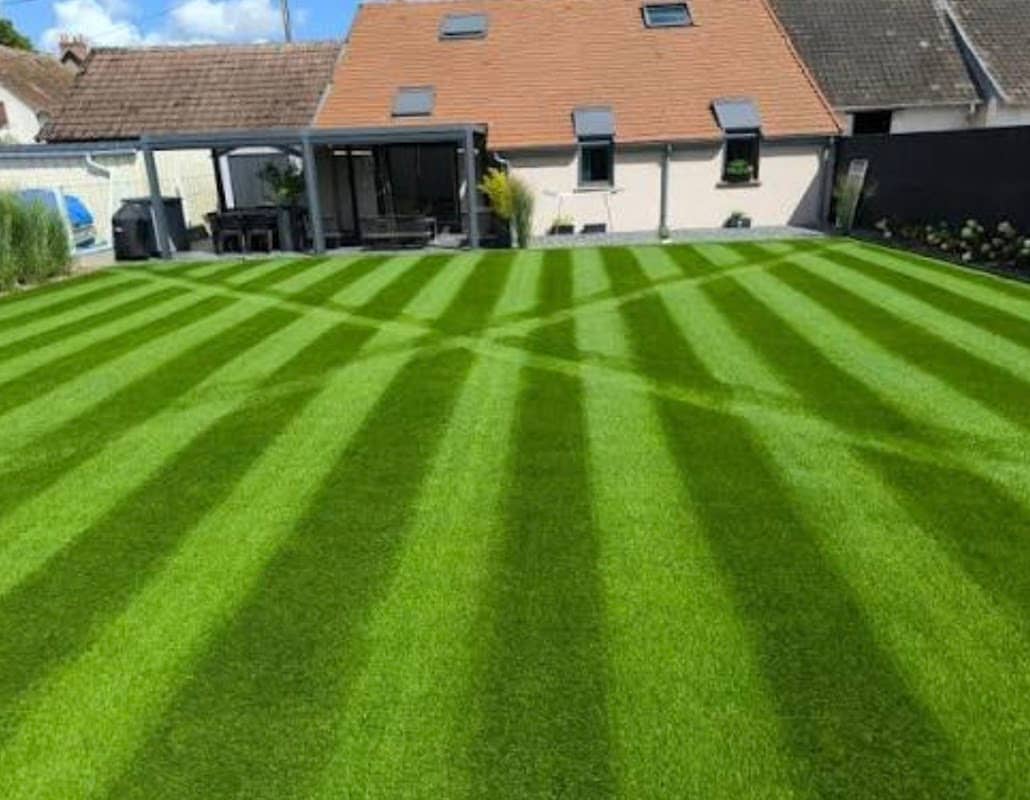 lawn care by Green lawn expert in Brampton