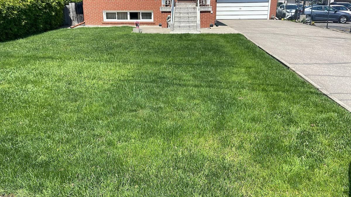 Green Turf Landscaping, photograph 3 of Mississauga