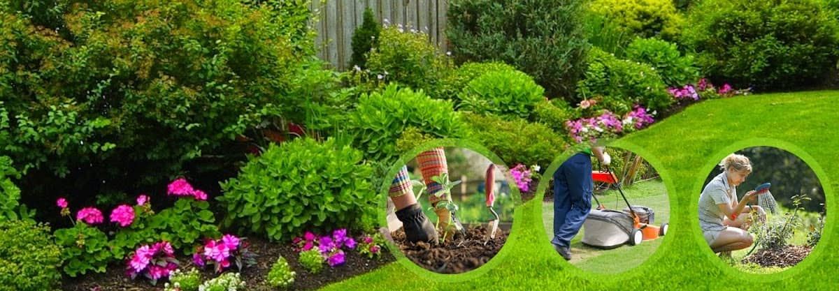 Greenbloom Landscaping, photograph 3 of The Annex