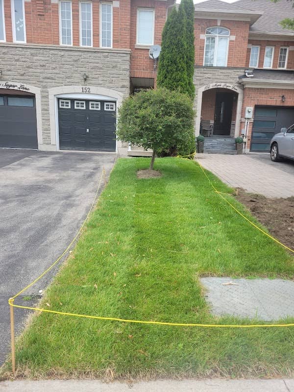 Greener Land, photograph 4 of Brampton