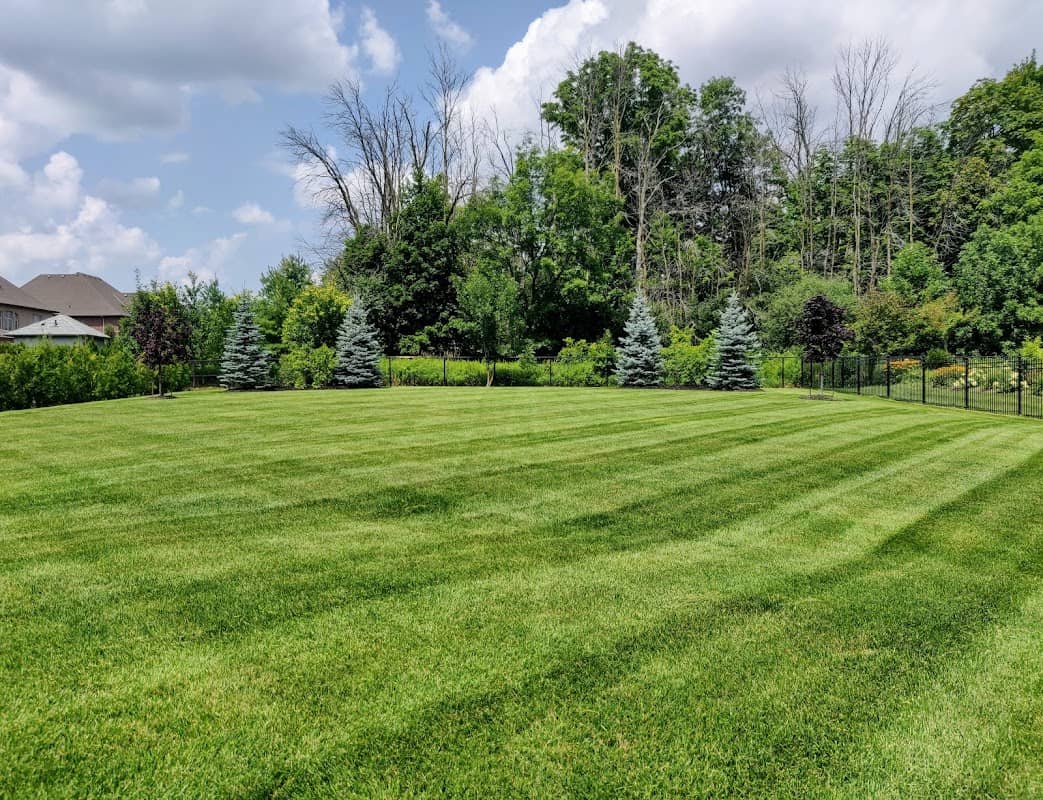 landscaping by Greener Side Landscaping in Brampton