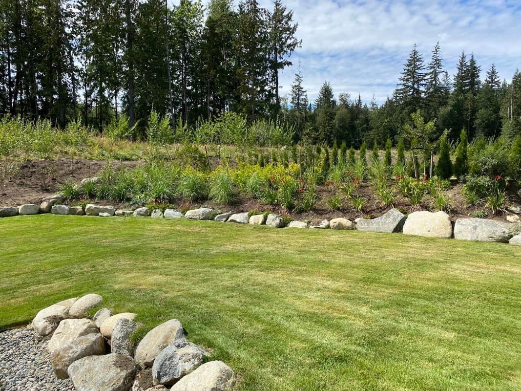 lawn care by Greenlii Lawn & Landscape - Abbotsford in Abbotsford