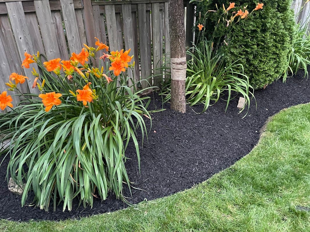 GreenLine Landscape Management, photograph 2 of Cloverdale