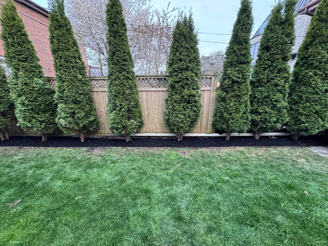 landscaping by Greenova Exteriors in Bloor West Village