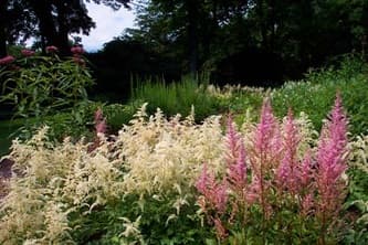 Greenway Lawn & Garden, photograph 3 of South Surrey