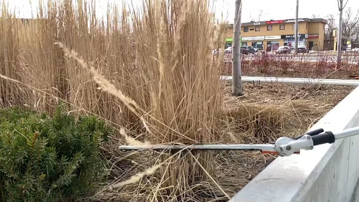 Groundhog Landscaping LTD, photograph 4 of Islington-City Centre West