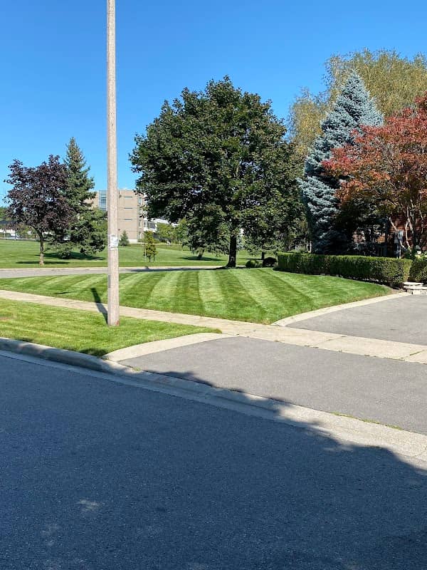 Grovehill Lawn Care, photograph 3 of Willowdale