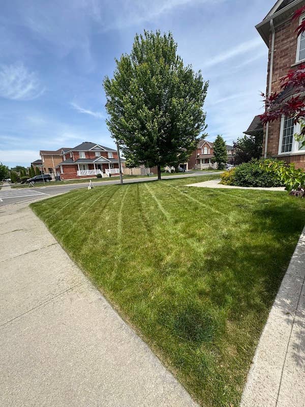 GROWMOW lawn care services, photograph 3 of Brampton