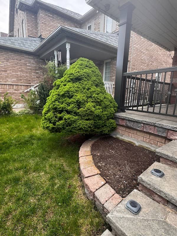landscaping by GTA garden and landscaping Inc in Islington-City Centre West