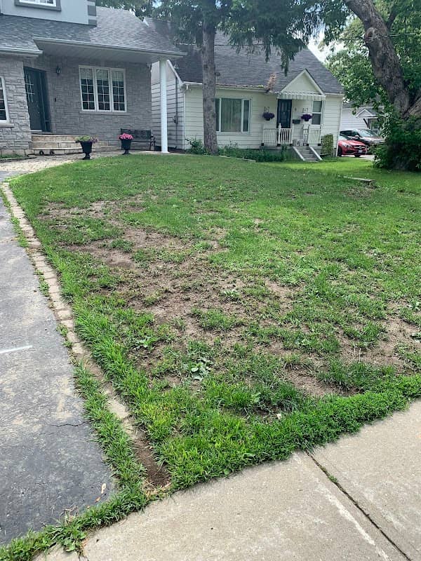 GTA Lawns, photograph 2 of Don Mills