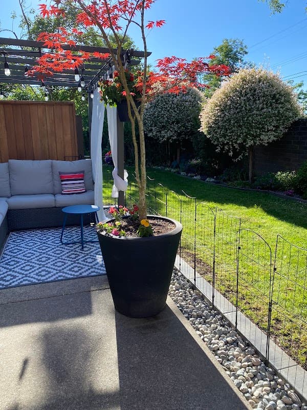 lawn care by Harp's Landscaping And Lawn services Ltd in Metrotown