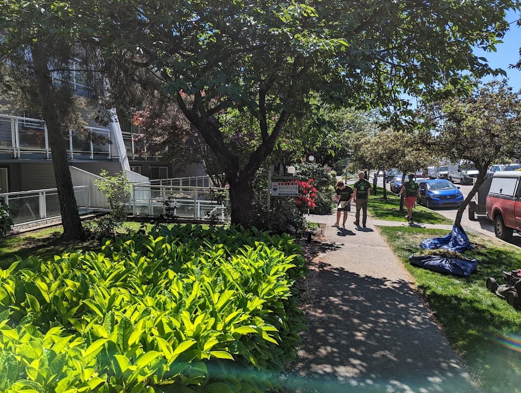 landscaping by Healing Hands Landscaping in Metrotown