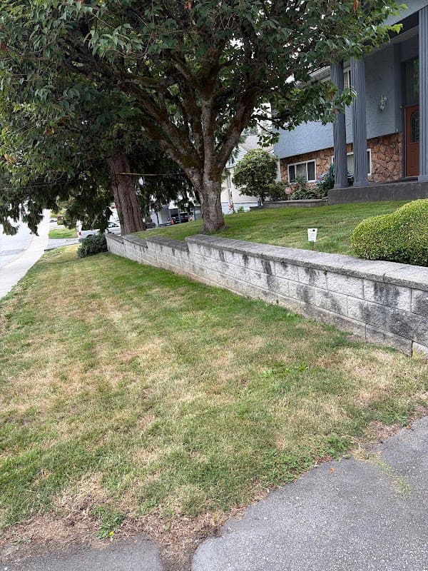 Hero First Landscaping, photograph 2 of Port Moody