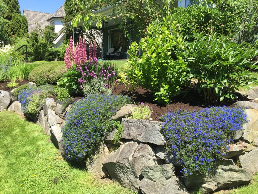 landscaping by Higher Ground Gardens in Fairview