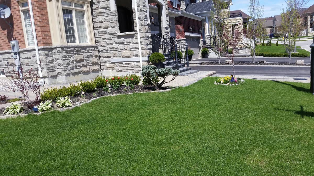 Highly Handy Lawn & Garden Service's, photograph 4 of Richmond Hill