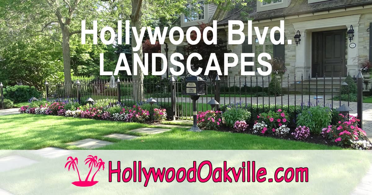 Hollywood Blvd. Landscapes, photograph 4 of Oakville