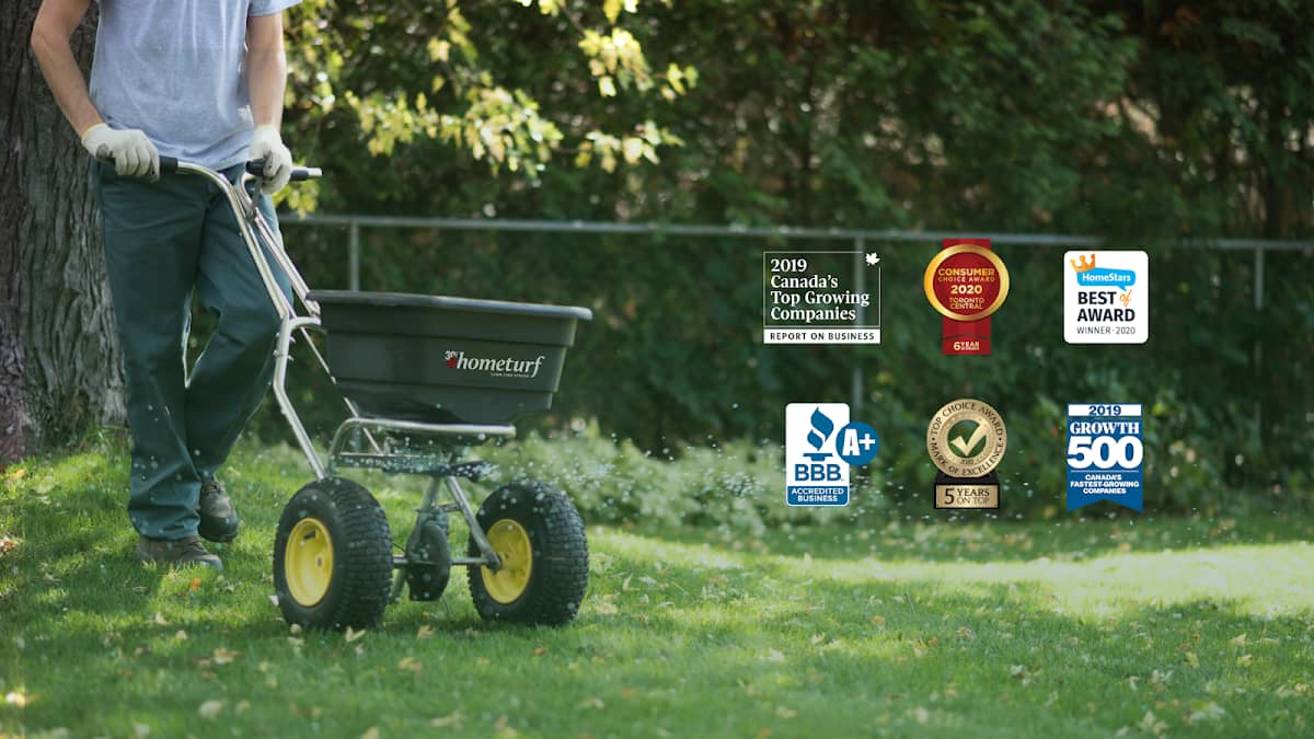lawn care by Hometurf Lawn Care in Islington-City Centre West